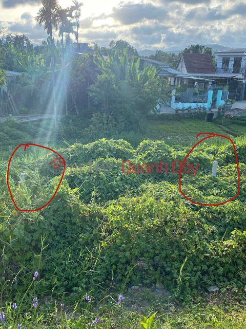 ONLY 2.4 BILLION – LAND FRONTAGE ON TRUONG CHINH STREET – 100M² – BEAUTIFUL LOCATION, HARD TO FIND! _0