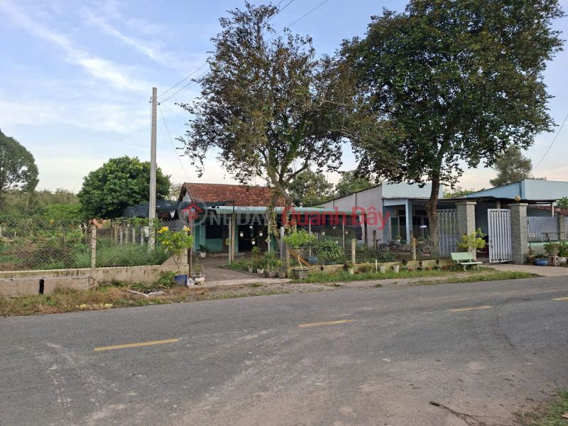 Bán gấp đất tại mặt tiền đường Phú Thuận- xã An Nhơn Tây ( trước là Phú Mỹ Hưng, Củ Chi),Hồ Chí Minh Niêm yết bán