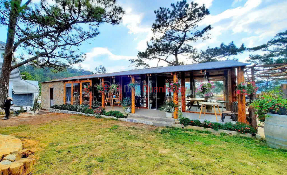 Property Search Vietnam | OneDay | Nhà ở Niêm yết cho thuê Cho thuê khu nghỉ dưỡng 5ha gồm 5 biệt thự 8 bungalow giá 400 triệu Đà Lạt Lâm Đồng