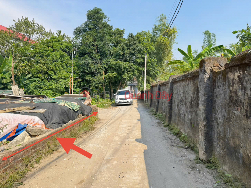 Property Search Vietnam | OneDay | Nhà ở Niêm yết bán | Bán gấp đất vàng Kim Hoa, Mê Linh. Lô góc, nằm sát đường Vành Đai 4, đường rộng, oto đỗ