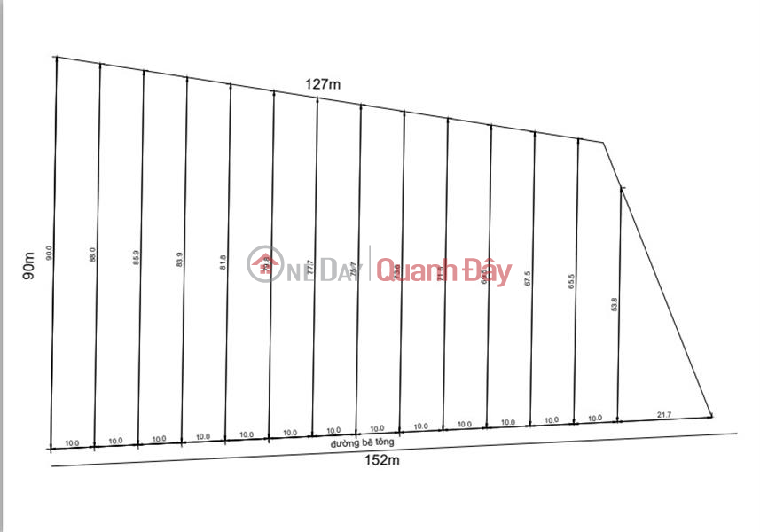 OWN 1 OF 14 LOT OF LAND IN BEAUTIFUL LOCATIONS - EXTREMELY PREFERENTIAL PRICES IN Tam Bo, Di Linh Sales Listings