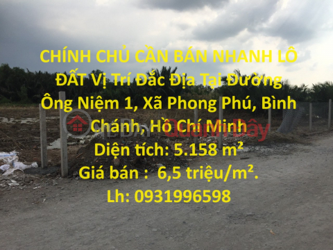 OWNER NEEDS TO QUICKLY SELL LOT OF LAND Prime Location In Binh Chanh District - HCM _0