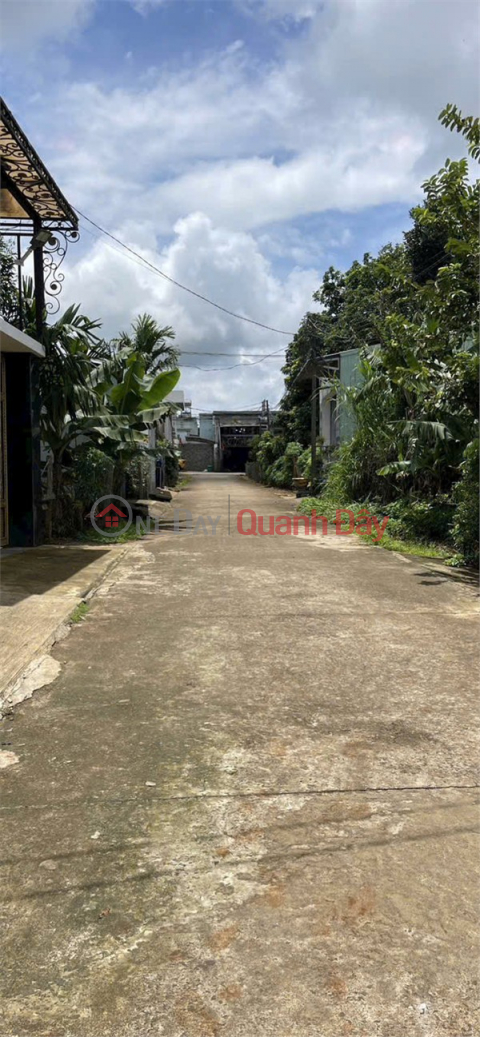 OWNER NEEDS TO SELL WAREHOUSE at Alley 206 Le Thanh Ton Street, Dien Hong Ward (formerly Ia Kring Ward),Pleiku City, Gia Lai Province _0