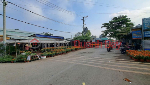PRIME LAND – GOOD PRICE – OWNER SELLING Located at Alley 340, Long Phuoc Ward, District 9, Long Phuoc Ward _0