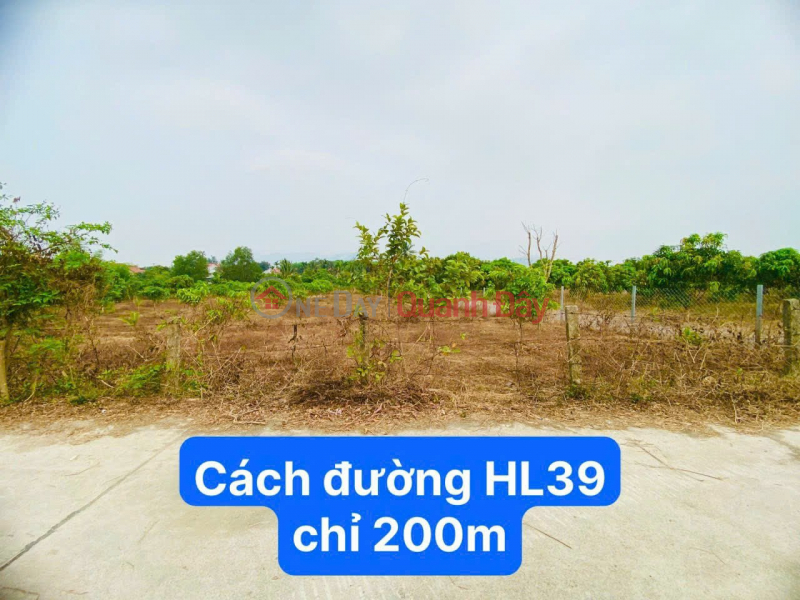 POTENTIAL INVESTMENT OPPORTUNITY IN LAND LOT IN SUOI TIEN, DIEN KHANH PRICE FROM ONLY 2 MILLION\\/M2 -Contact 0901 359 868 Vietnam Sales đ 1.25 Billion