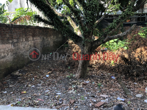 42m2 of land in Phuong Dong, Phung Chau, 100m from bus, price slightly 800 million _0