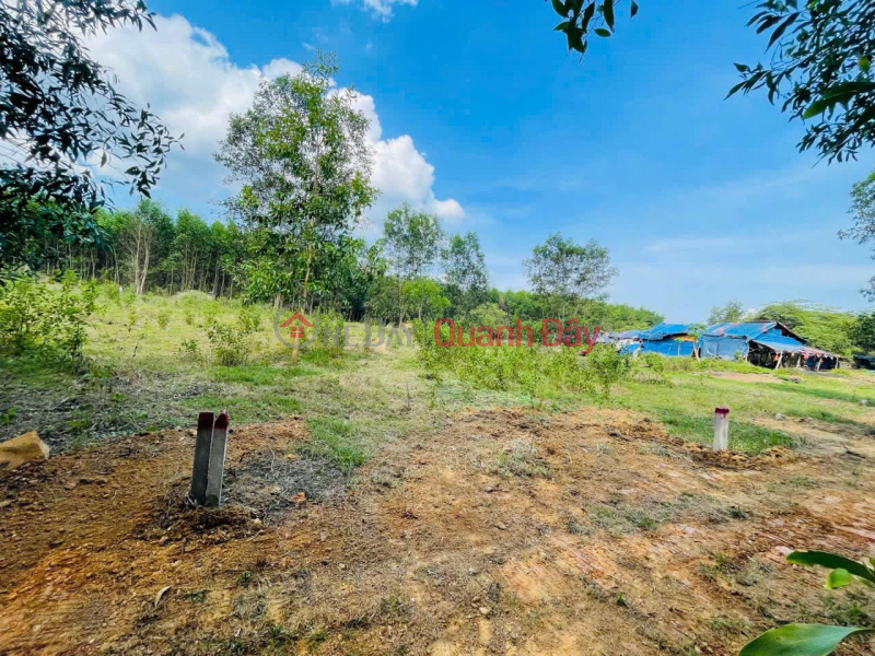 Hot item! Opening for sale 4 cheap land lots from only 185 million\\/lot in Dien Xuan commune, Dien Khanh, Khanh Hoa. Sales Listings