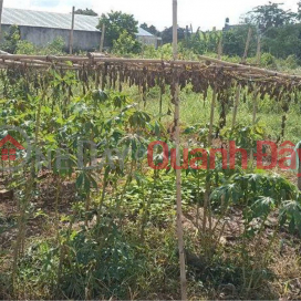 OWNER'S LAND - FRONTAGE Rung Dau Hamlet, My Hanh Bac Commune, Duc Hoa District, Long An _0