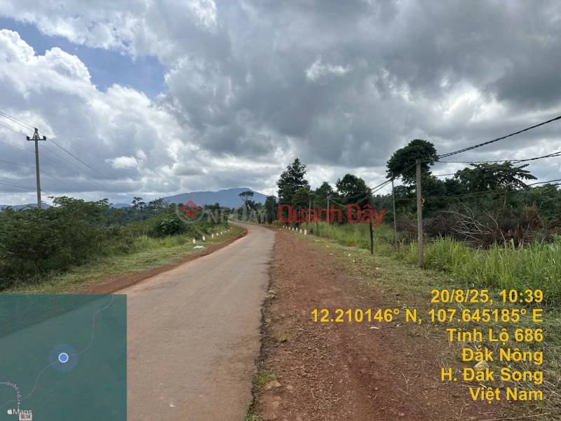 Bán gấp đất tỉnh lộ 686 xã Nâm N\'Jang, huyện Đắk Song, Đắk Nông, 427m2, MT 13.5m, miễn TG Việt Nam Bán | đ 2,1 tỷ