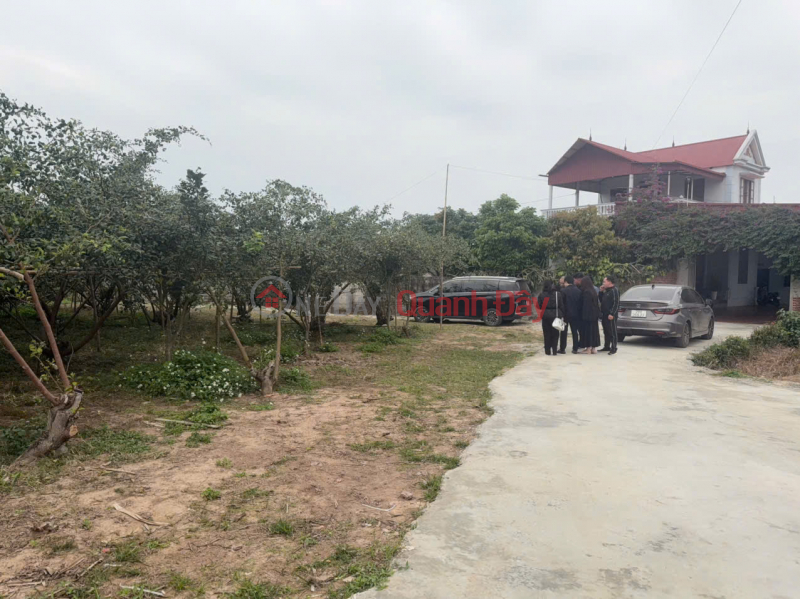 LAND PLOT IN CHŨ, BAC NINH, PRICE 520 MILLION VND, 450M2, STABLE RESIDENTIAL AREA. Nguyen Hung Real Estate - 0989333012 Sales Listings