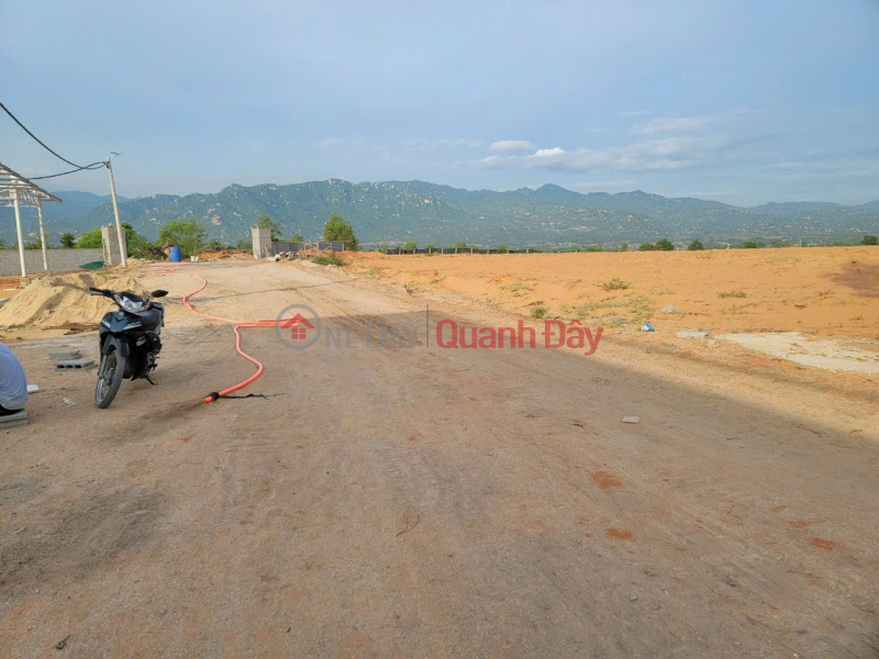 đ 1.25 Billion, Land for sale in Son Hai 2 Hamlet, Phuoc Dinh Commune, Thuan Nam District, Ninh Thuan Province.