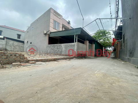 Xuan Non land for sale - Luong Quy village - 90m - 4m open road _0