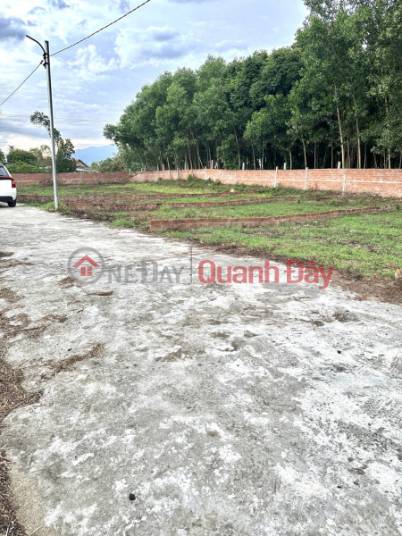 Land for sale in Hoa Phong Hoa Vang commune, parallel to National Highway 14B Sales Listings