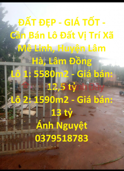 BEAUTIFUL LAND - GOOD PRICE - For Sale Land Lot Location Me Linh Commune, Lam Ha District, Lam Dong Sales Listings