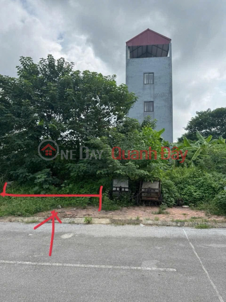 CHÍNH CHỦ CẦN BÁN 79.7 M2 TĐC GIA LÂM, VIEW VƯỜN HOA, GIÁ CHỈ 166TR/M2, LH 0985865658 Niêm yết bán