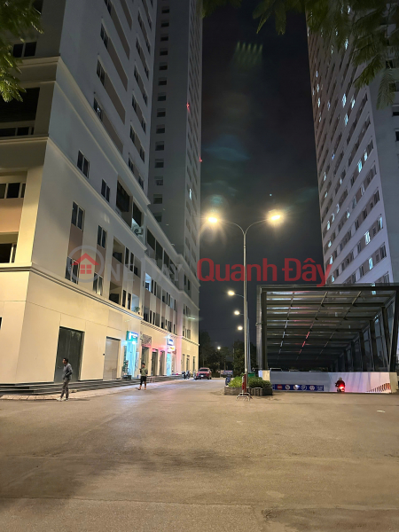 Property Search Vietnam | OneDay | Residential | Sales Listings, 165m2 Penthouse apartment at Window River Park, Co Loa. Rare garden view. Price only 5x million VND\\/m2. Cheapest in Hanoi.