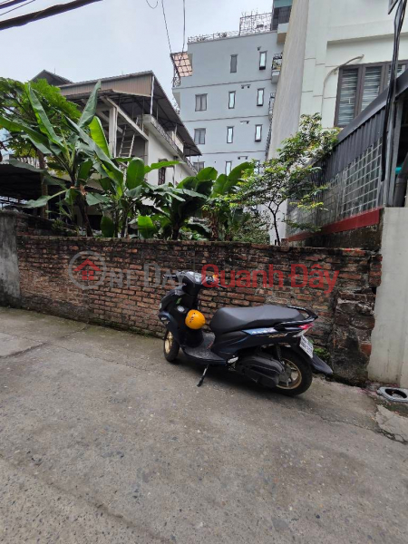 Land for sale in Ngoc Thuy, inside the dike, near the French school, 100m from the main road accessible by car, cheapest in the area. Sales Listings