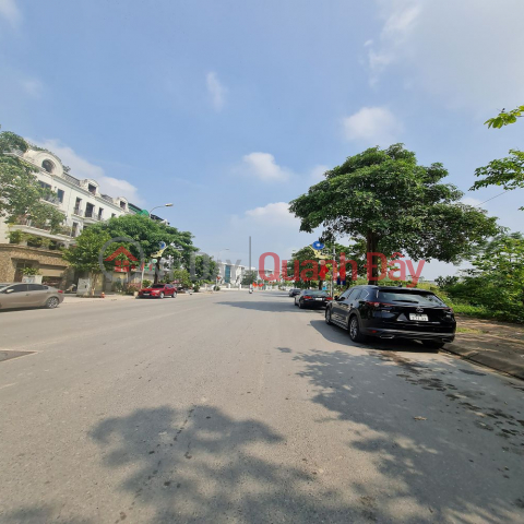 60.5m2, 13m wide street, good for business or living in Trau Quy, Gia Lam. _0