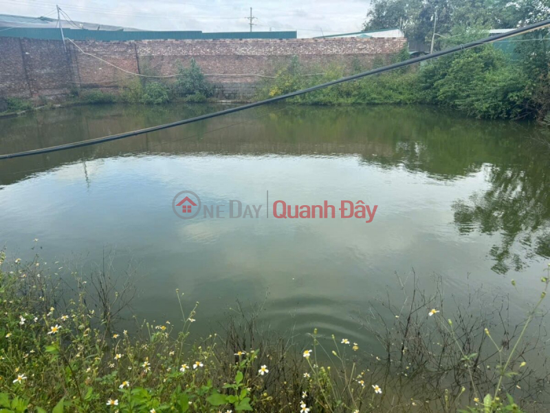 , Làm ơn chọn Nhà ở Niêm yết bán, đ 10 triệu