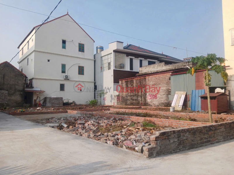 Đất Tráng Việt, Mê Linh. Đón sóng cầu Thượng Cát. Cơ hội đầu tư nhân đôi tài sản Việt Nam Bán, đ 2,45 tỷ