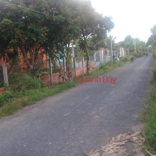 OWNER Need to Sell Land on the road and river in An Hiep Hamlet, Loc Hoa Commune, Long Ho, Vinh Long, Vietnam, Sales | đ 6 Billion