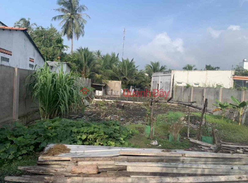 Property Search Vietnam | OneDay | Residential, Rental Listings, OWNER NEEDS TO SELL BEAUTIFUL FRONT LOT OF LAND IN Cai Be Town, Cai Be District, Tien Giang