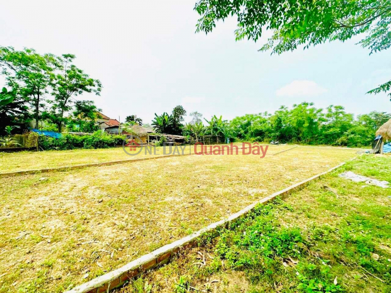 Property Search Vietnam | OneDay | | Sales Listings | Land for sale on the edge of Da Nang, close to DT 605, support price is only 3xx to own