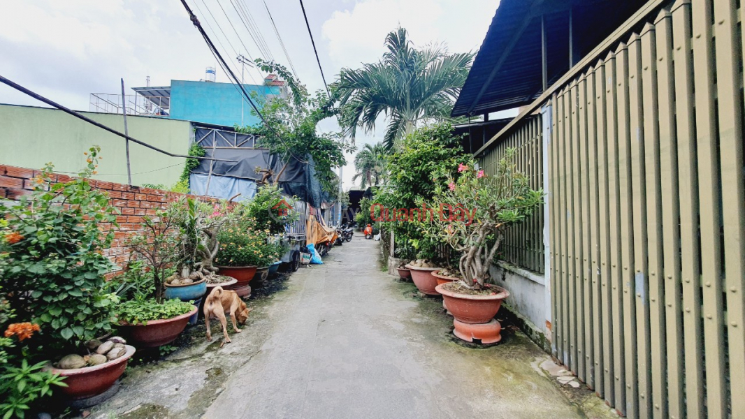 Property Search Vietnam | OneDay | Sales Listings, Opportunity to buy 2 plots of land 5x18m right at Xuan Thoi Thuong market, Hoc Mon, SHOCKING PRICE only 2.4 billion