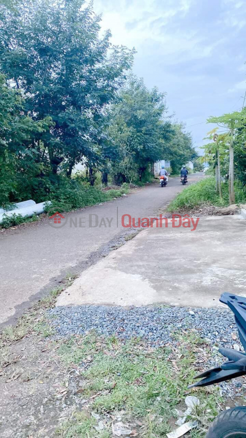 Selling house in main alley Lac Long Quan _0