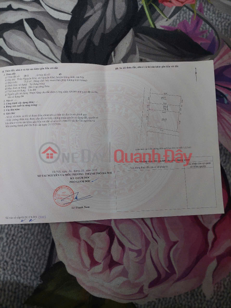  Làm ơn chọn | Nhà ở, Niêm yết bán | đ 6,4 tỷ