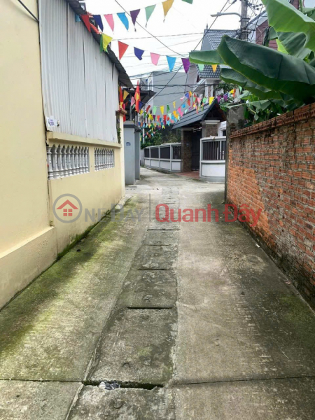 SELLING 2 LOT OF 62.33M DUONG NEIGHBORHOOD, NGUYEN KHE, DONG ANH - 5-SEATER CAR ROAD ENTRANCE TO THE LAND - INVESTMENT PRICE 3XTR Vietnam, Sales | đ 2.24 Billion