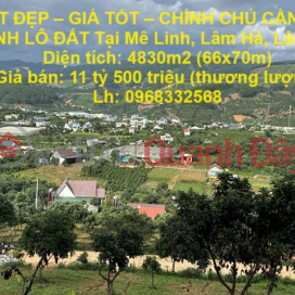 BEAUTIFUL LAND - GOOD PRICE - OWNERS NEED TO SELL LAND LOT QUICKLY IN Me Linh, Lam Ha, Lam Dong _0