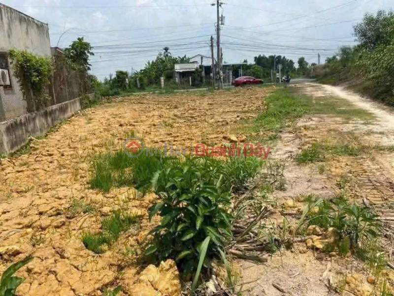HOT – LAND FOR SALE: Corner plot with 2 street frontages on Bau Cong Road, Lap Dien Hamlet, Tan My, Duc Hoa, Long An (New Tay Ninh) | Vietnam | Sales | đ 4.7 Billion