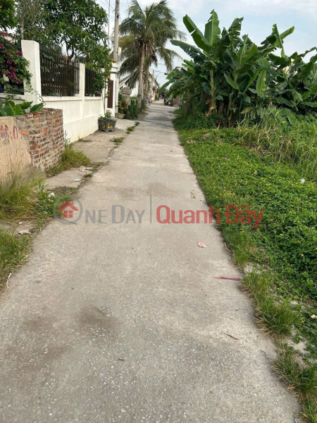 Property Search Vietnam | OneDay | Residential Sales Listings, 1.x million\\/m2 – 126m2 Lane 169 Tan Thanh Duong Kinh – Zalo 0567222555
