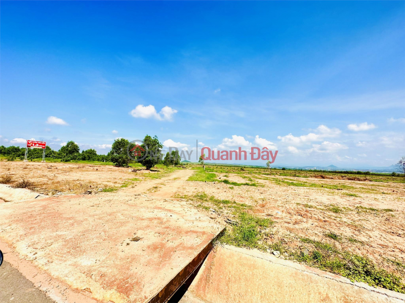 Property Search Vietnam | OneDay | Nhà ở, Niêm yết bán | Chủ cần ra 2 lô đất vườn (CLN) 3 mặt tiền gần đường 719B-Novaworld Phan Thiết