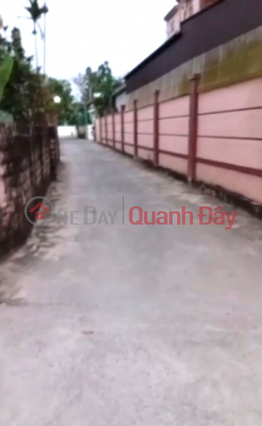 Owner selling a beautiful plot of land in Hamlet 5, Nghi Thinh Commune, Nghi Loc District, Nghe An Province - A good investment opportunity. Vietnam | Sales | đ 3 Billion