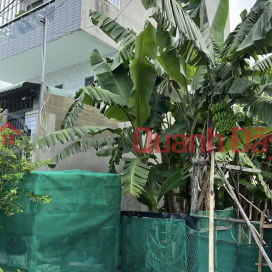 OWNERS NEED TO SELL QUICKLY Lot C Eco 6 Viet Nhan Project, Long Truong Ward, Thu Duc City _0