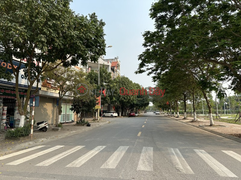 Vip Giang Bien Street, Sidewalk, Business, 4 Cars, Garage, Elevator, Park View. Sales Listings