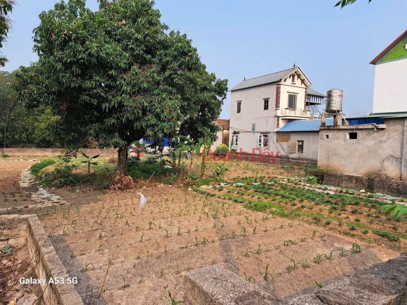 CHÍNH CHỦ CẦN BÁN LÔ ĐẤT 1150M TẠI TÂN TIẾN-CHƯƠNG MỸ-HÀ NỘI | Việt Nam | Bán, đ 10 triệu