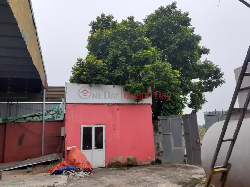 Warehouse for rent, area 1000m2 in Song Phuong - Hoai Duc - Hanoi Rental Listings