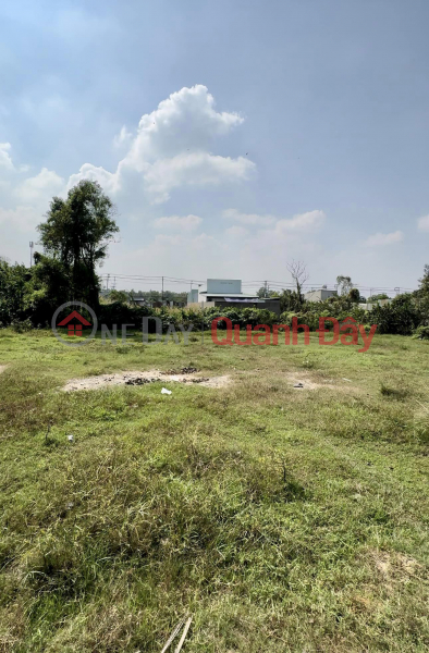 Private Red Book land 1273m2 (full residential) 50 x26 - only slightly 20 Billion - Xuan Thoi Son - Hoc Mon Vietnam | Sales ₫ 28 Billion