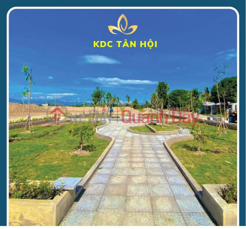Quick sale of land plot of 100m2, MT of 5m, price 998 million right at Tan Hoi residential area near Thong Nhat street, Ho Chi Minh city. Phan Rang _0