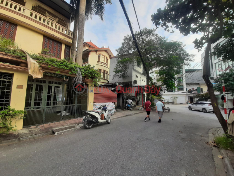 Lot Lam Ha Street, Sidewalk, Area 203m², MT8.5m, Vip Area, Extremely Rare. Sales Listings