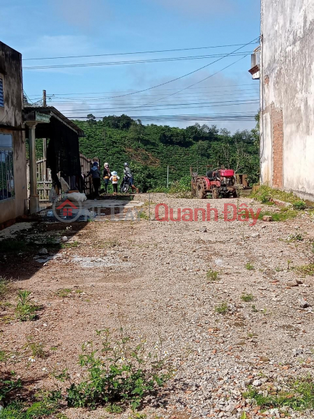 Property Search Vietnam | OneDay | Residential Sales Listings | BEAUTIFUL LAND - GOOD PRICE - For Quick Sale Land Lot Prime Location In Lien Dam Commune, Di Linh, Lam Dong