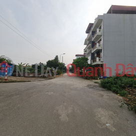 Đất Trâu Quỳ, Gia Lâm, Hà Nội. 60m2, mt 4m, đường 15m, kinh doanh. Lh 0989894845 _0