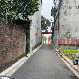 Đất vàng Mê Linh – giáp KCN Quang Minh – 3 mặt thoáng – tiềm năng tăng giá cực mạnh _0