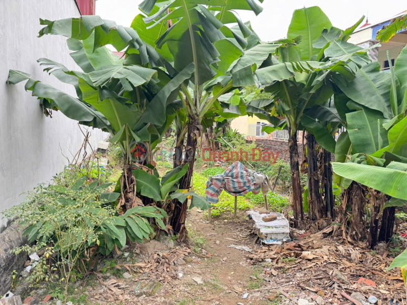 Bán lô đất thôn Gia Trung, tổ 7, Quang Minh, Mê Linh. Mặt tiền kinh doanh, gần khu công nghiệp | Việt Nam Bán, đ 4,45 tỷ