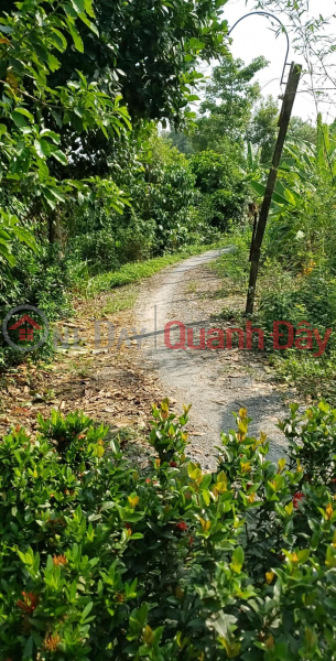 The Owner Sells Beautiful Land Lot Prime Location In My Hanh Trung Commune, Cai Lay Town, Tien Giang | Vietnam Sales đ 850 Million