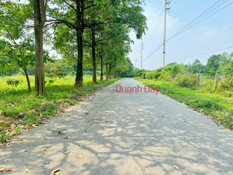 Bán đất KDT Hà Phong, Tiền Phong, Mê Linh. Gần trường DH Tài Chính và KDT Cienco 5 | Việt Nam Bán đ 18 tỷ