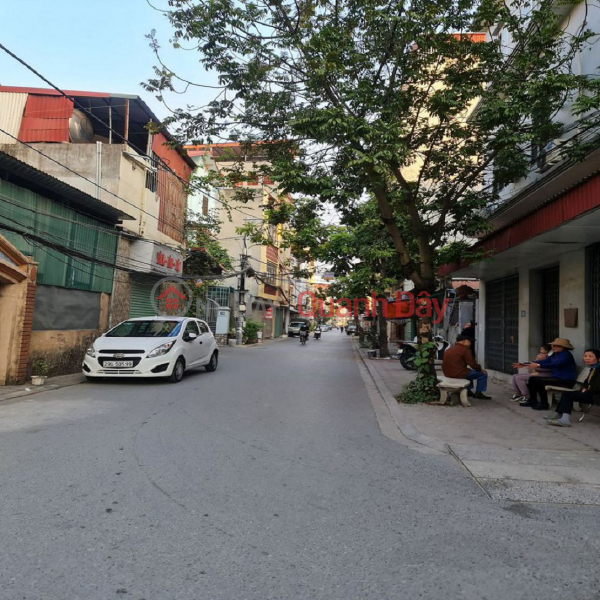 Quick sale: 100m2 land in Trau Quy, Gia Lam, with a 6.1m frontage and 15m access to a main road. Contact 0989894845 Sales Listings
